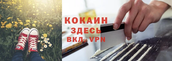 спиды Богородицк