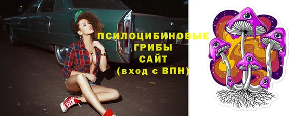 спиды Богородицк