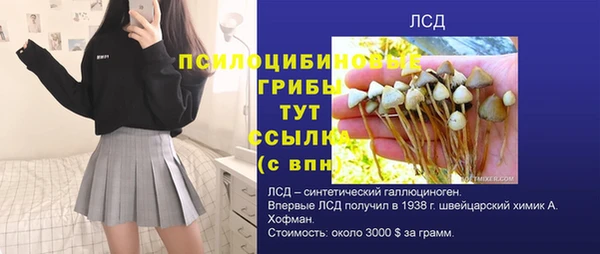 спиды Богородицк