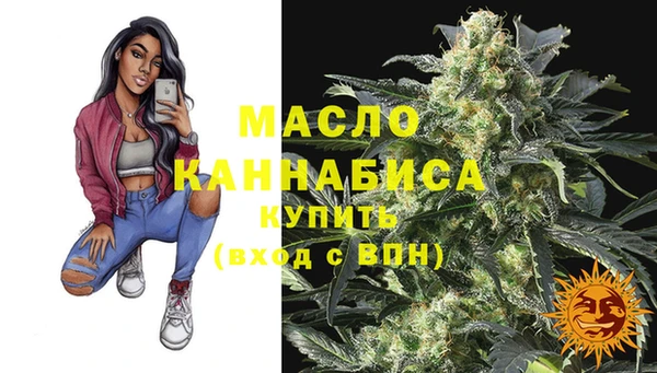 спиды Богородицк