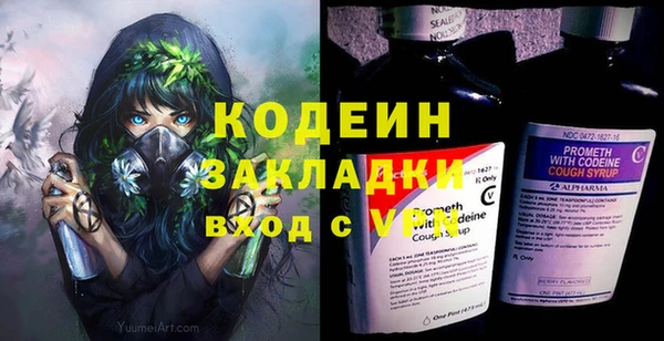 спиды Богородицк