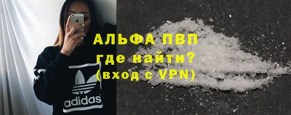 прущие крисы Бородино